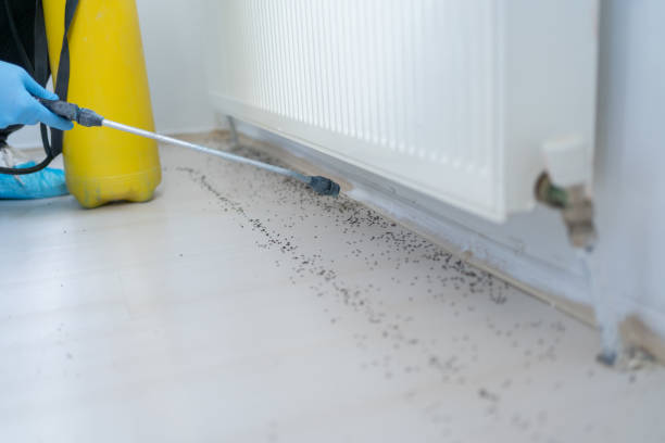 Best Emergency Pest Control  in Gretna, VA
