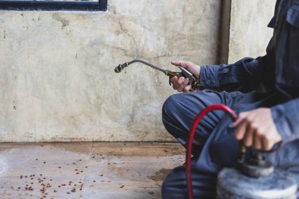 Professional Pest Control in Gretna, VA