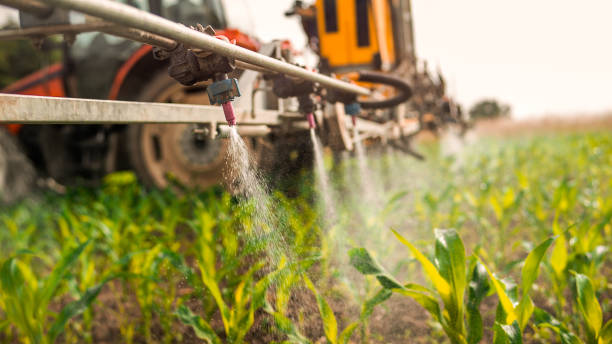 Best Pest Removal Services  in Gretna, VA